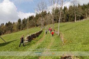 Marche Populaire Saulxures 2016 (photo 103)